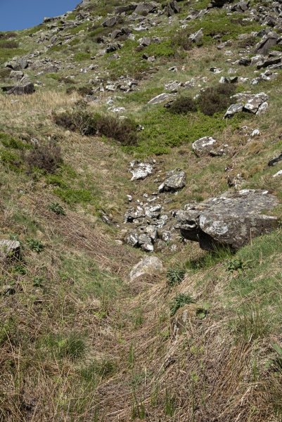 Run in lower adit, submitted by ilt on 03-05-2025.
© Iain Taylor Run in lower adit